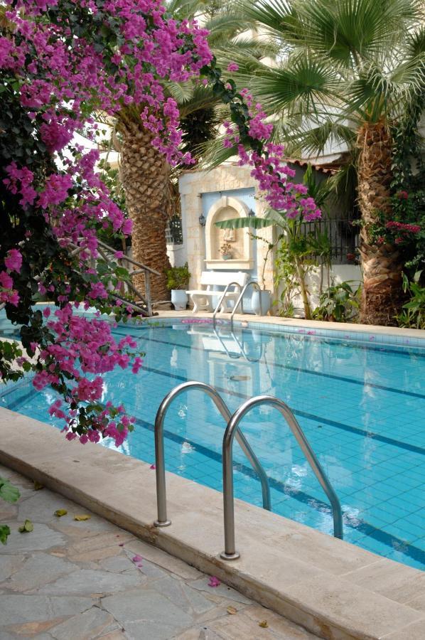 Minoa Apartments Amoudara Lasithiou エクステリア 写真